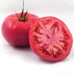 POMIDOR MALINOWY